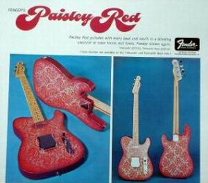 Pink paisley advert